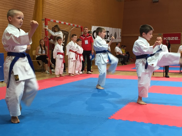 M-SR detí a žiakov 2015