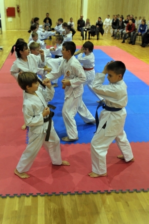 Vianočná kapustnica (2011)