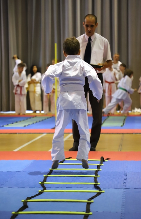Oddielový turnaj Rapid cup