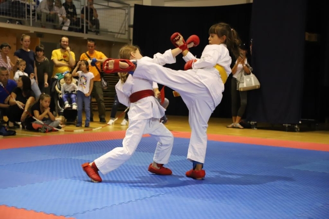 Oddielový turnaj Rapid cup